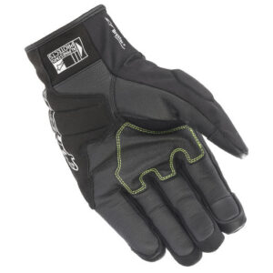 product1_4224-2205-04palmweb1629819393-23140